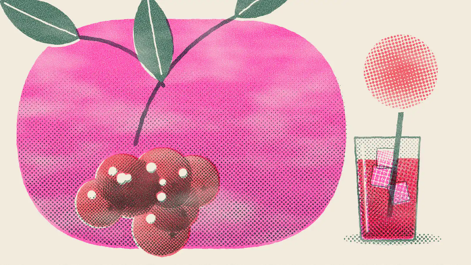Risograph-style illustration: Cranberry Tea Benefits, Side Effects and How to Make It