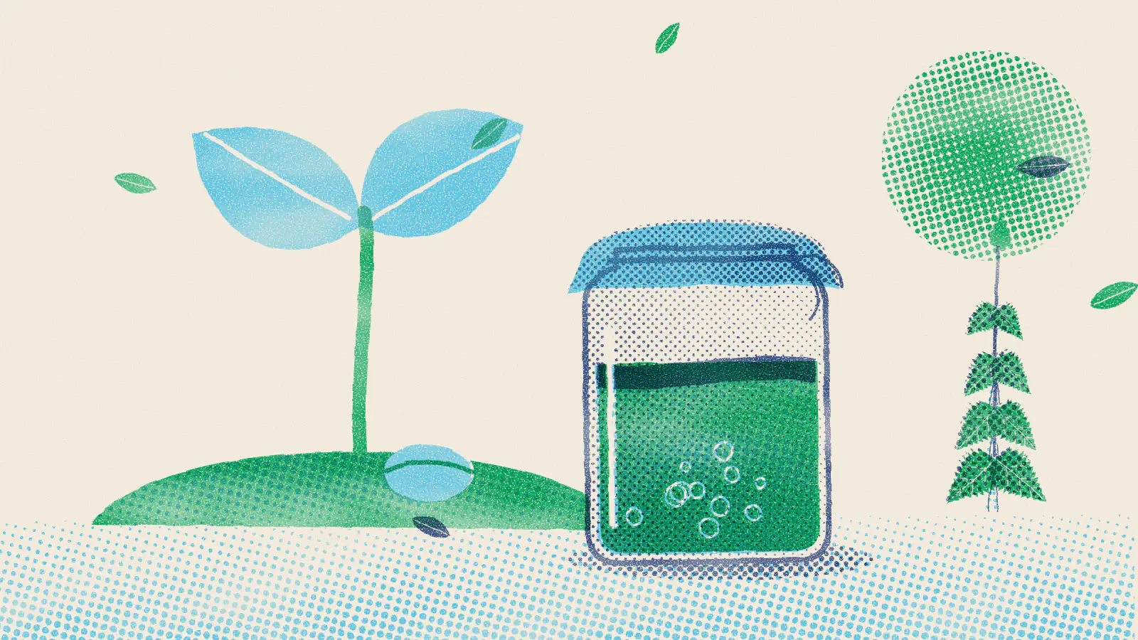 Risograph-style illustration: Teas for Pregnancy: Which Ones Are Safe to Drink