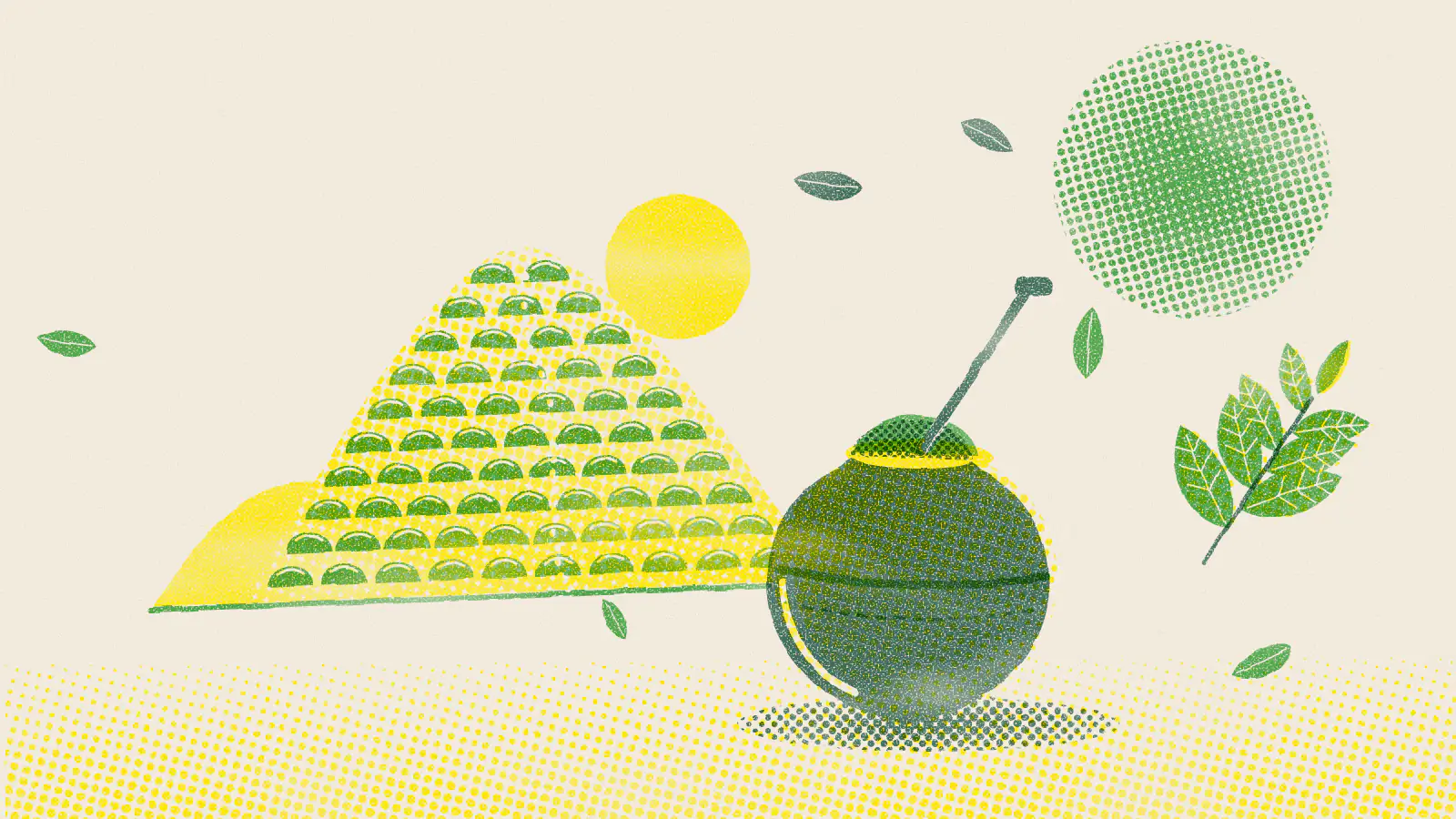 Risograph-style illustration: Yerba Mate Plant: How It's Grown, Brewed and Its Benefits